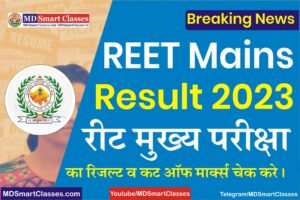 REET Main Exam Result 2023