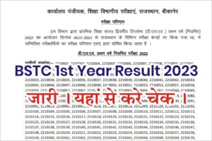 Rajasthan BSTC 1st Year Result 2023